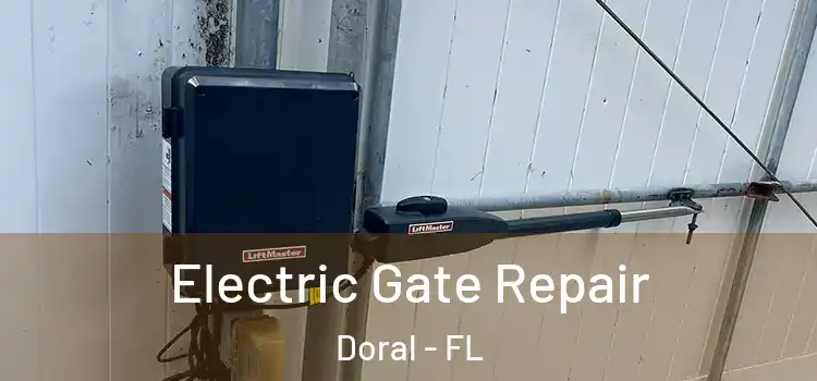  Electric Gate Repair Doral - FL