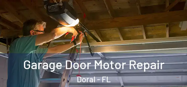  Garage Door Motor Repair Doral - FL
