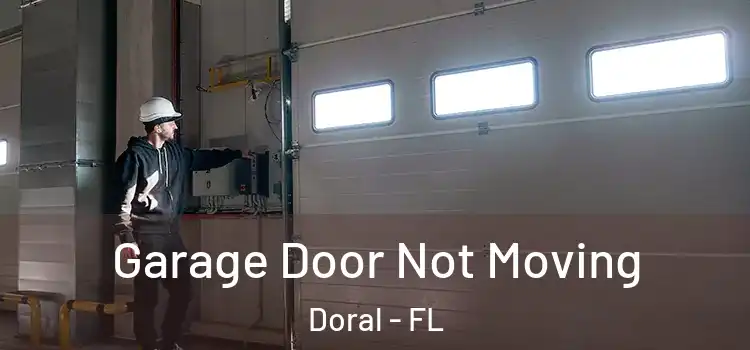  Garage Door Not Moving Doral - FL