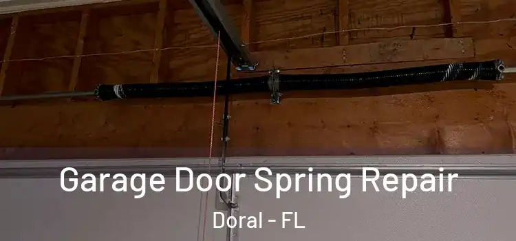  Garage Door Spring Repair Doral - FL